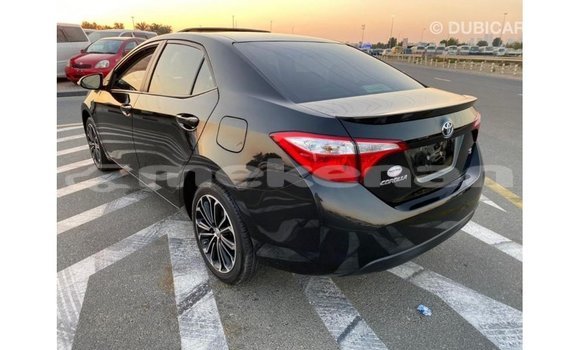 Buy Import Toyota Corolla Black Car in Import - Dubai in Aragatsotn Buy Import Toyota Corolla Black Car in Import - Dubai in Aragatsotn