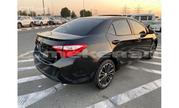 Buy Import Toyota Corolla Black Car in Import - Dubai in Aragatsotn Buy Import Toyota Corolla Black Car in Import - Dubai in Aragatsotn