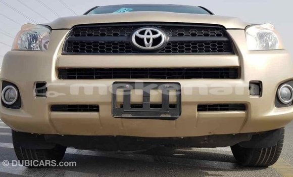 Buy Import Toyota RAV4 Other Car in Import - Dubai in Aragatsotn Buy Import Toyota RAV4 Other Car in Import - Dubai in Aragatsotn