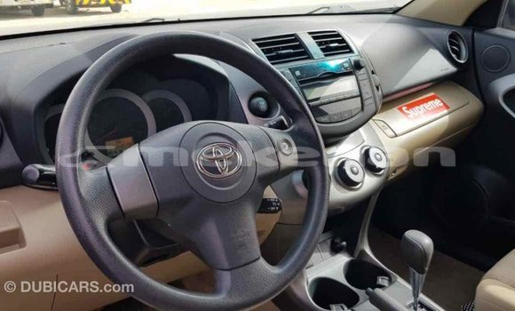 Buy Import Toyota RAV4 Other Car in Import - Dubai in Aragatsotn Buy Import Toyota RAV4 Other Car in Import - Dubai in Aragatsotn