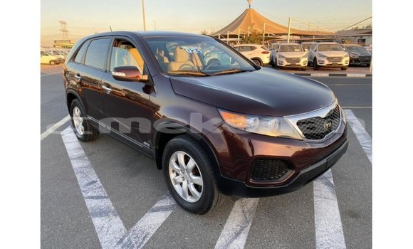 Buy Import Kia Sorento Brown Car in Import - Dubai in Aragatsotn Buy Import Kia Sorento Brown Car in Import - Dubai in Aragatsotn