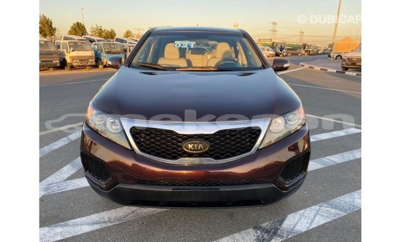 Buy Import Kia Sorento Brown Car in Import - Dubai in Aragatsotn Buy Import Kia Sorento Brown Car in Import - Dubai in Aragatsotn