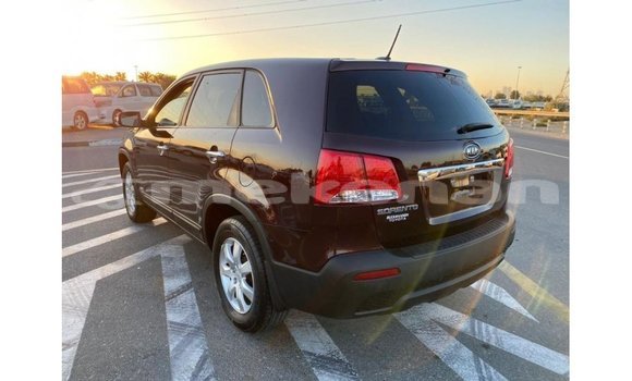 Buy Import Kia Sorento Brown Car in Import - Dubai in Aragatsotn Buy Import Kia Sorento Brown Car in Import - Dubai in Aragatsotn