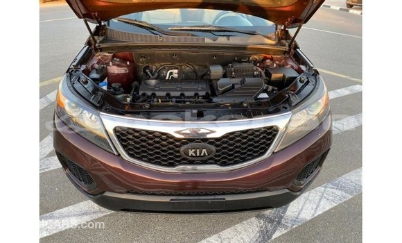 Buy Import Kia Sorento Brown Car in Import - Dubai in Aragatsotn Buy Import Kia Sorento Brown Car in Import - Dubai in Aragatsotn