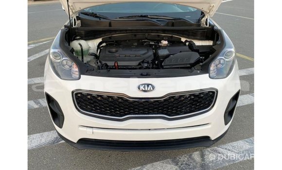Buy Import Kia Sportage White Car in Import - Dubai in Aragatsotn Buy Import Kia Sportage White Car in Import - Dubai in Aragatsotn