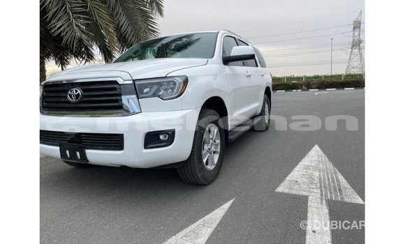 Buy Import Toyota Sequoia White Car in Import - Dubai in Aragatsotn Buy Import Toyota Sequoia White Car in Import - Dubai in Aragatsotn