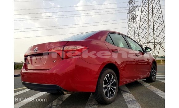 Buy Import Toyota Corolla Red Car in Import - Dubai in Aragatsotn Buy Import Toyota Corolla Red Car in Import - Dubai in Aragatsotn