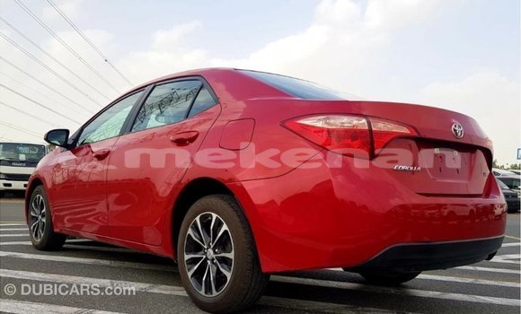 Buy Import Toyota Corolla Red Car in Import - Dubai in Aragatsotn Buy Import Toyota Corolla Red Car in Import - Dubai in Aragatsotn