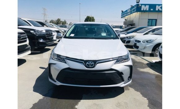 Buy Import Toyota Corolla White Car in Import - Dubai in Aragatsotn Buy Import Toyota Corolla White Car in Import - Dubai in Aragatsotn