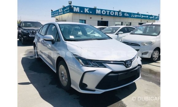 Buy Import Toyota Corolla White Car in Import - Dubai in Aragatsotn Buy Import Toyota Corolla White Car in Import - Dubai in Aragatsotn