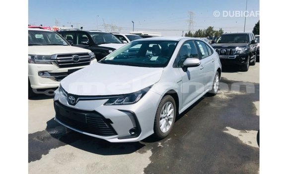 Buy Import Toyota Corolla White Car in Import - Dubai in Aragatsotn Buy Import Toyota Corolla White Car in Import - Dubai in Aragatsotn