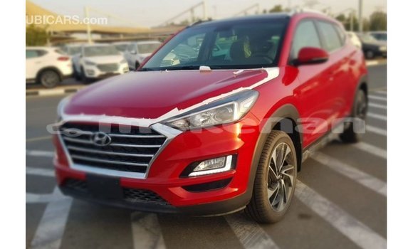 Buy Import Hyundai Tucson Red Car in Import - Dubai in Aragatsotn Buy Import Hyundai Tucson Red Car in Import - Dubai in Aragatsotn