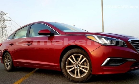 Buy Import Hyundai Sonata Red Car in Import - Dubai in Aragatsotn Buy Import Hyundai Sonata Red Car in Import - Dubai in Aragatsotn