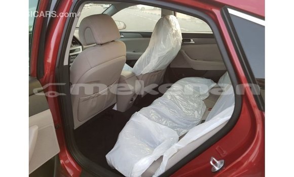 Buy Import Hyundai Sonata Red Car in Import - Dubai in Aragatsotn Buy Import Hyundai Sonata Red Car in Import - Dubai in Aragatsotn