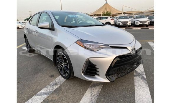 Buy Import Toyota Corolla Other Car in Import - Dubai in Aragatsotn Buy Import Toyota Corolla Other Car in Import - Dubai in Aragatsotn