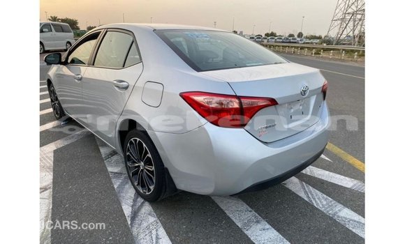 Buy Import Toyota Corolla Other Car in Import - Dubai in Aragatsotn Buy Import Toyota Corolla Other Car in Import - Dubai in Aragatsotn
