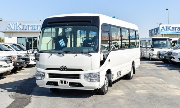Buy Import Toyota Coaster White Car in Import - Dubai in Aragatsotn Buy Import Toyota Coaster White Car in Import - Dubai in Aragatsotn
