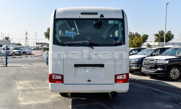 Buy Import Toyota Coaster White Car in Import - Dubai in Aragatsotn Buy Import Toyota Coaster White Car in Import - Dubai in Aragatsotn