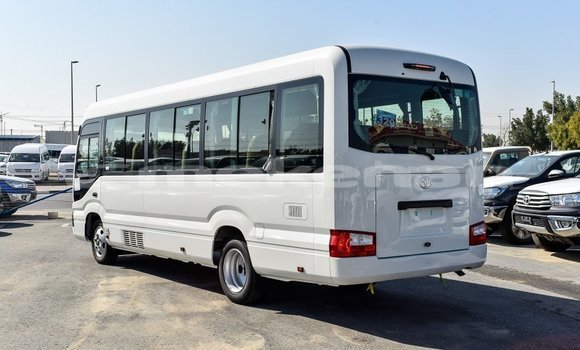 Buy Import Toyota Coaster White Car in Import - Dubai in Aragatsotn Buy Import Toyota Coaster White Car in Import - Dubai in Aragatsotn