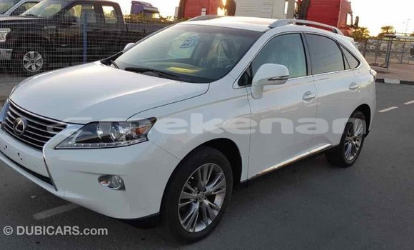 Buy Import Lexus RX 350 White Car in Import - Dubai in Aragatsotn Buy Import Lexus RX 350 White Car in Import - Dubai in Aragatsotn