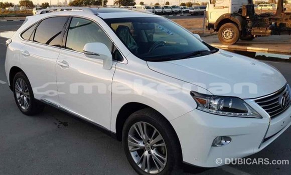 Buy Import Lexus RX 350 White Car in Import - Dubai in Aragatsotn Buy Import Lexus RX 350 White Car in Import - Dubai in Aragatsotn