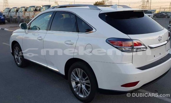Buy Import Lexus RX 350 White Car in Import - Dubai in Aragatsotn Buy Import Lexus RX 350 White Car in Import - Dubai in Aragatsotn