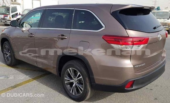 Buy Import Toyota Highlander Brown Car in Import - Dubai in Aragatsotn Buy Import Toyota Highlander Brown Car in Import - Dubai in Aragatsotn