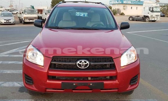 Buy Import Toyota RAV4 Red Car in Import - Dubai in Aragatsotn Buy Import Toyota RAV4 Red Car in Import - Dubai in Aragatsotn