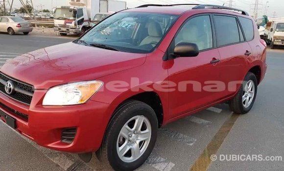 Buy Import Toyota RAV4 Red Car in Import - Dubai in Aragatsotn Buy Import Toyota RAV4 Red Car in Import - Dubai in Aragatsotn