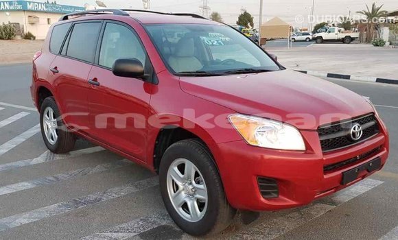 Buy Import Toyota RAV4 Red Car in Import - Dubai in Aragatsotn Buy Import Toyota RAV4 Red Car in Import - Dubai in Aragatsotn