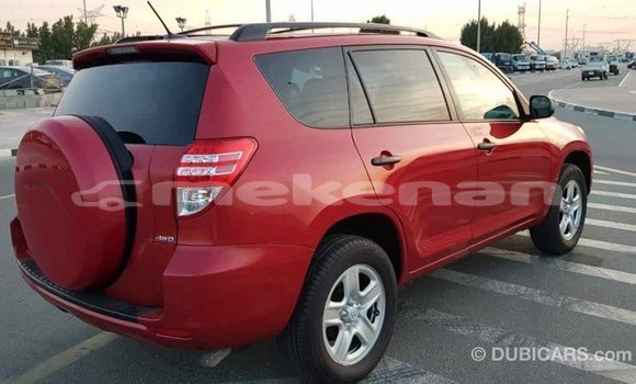 Buy Import Toyota RAV4 Red Car in Import - Dubai in Aragatsotn Buy Import Toyota RAV4 Red Car in Import - Dubai in Aragatsotn