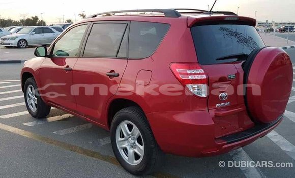 Buy Import Toyota RAV4 Red Car in Import - Dubai in Aragatsotn Buy Import Toyota RAV4 Red Car in Import - Dubai in Aragatsotn