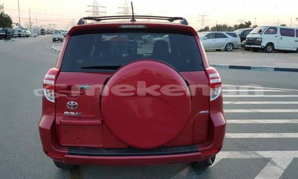 Buy Import Toyota RAV4 Red Car in Import - Dubai in Aragatsotn Buy Import Toyota RAV4 Red Car in Import - Dubai in Aragatsotn