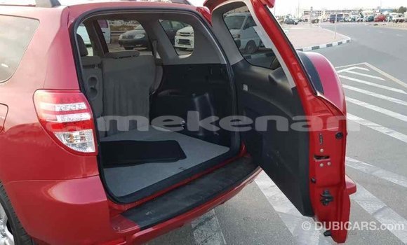 Buy Import Toyota RAV4 Red Car in Import - Dubai in Aragatsotn Buy Import Toyota RAV4 Red Car in Import - Dubai in Aragatsotn