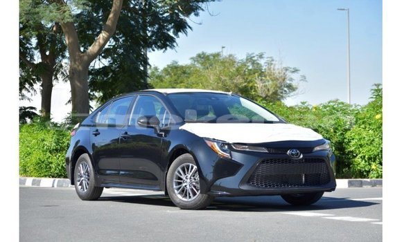 Medium with watermark toyota corolla aragatsotn import dubai 3218