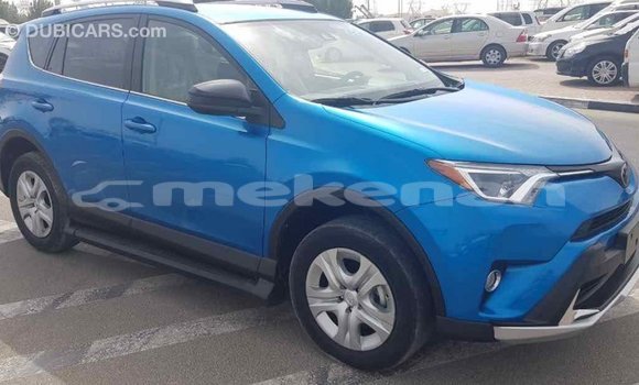 Buy Import Toyota RAV4 Blue Car in Import - Dubai in Aragatsotn Buy Import Toyota RAV4 Blue Car in Import - Dubai in Aragatsotn