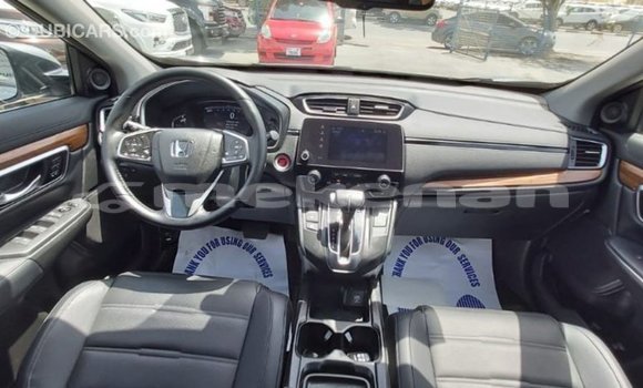 Buy Import Honda C Other Bike in Import - Dubai in Aragatsotn Buy Import Honda C Other Bike in Import - Dubai in Aragatsotn