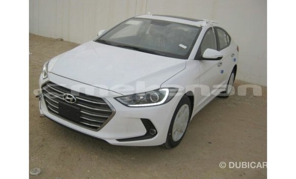 Buy Import Hyundai Elantra White Car in Import - Dubai in Aragatsotn Buy Import Hyundai Elantra White Car in Import - Dubai in Aragatsotn