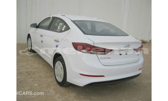 Buy Import Hyundai Elantra White Car in Import - Dubai in Aragatsotn