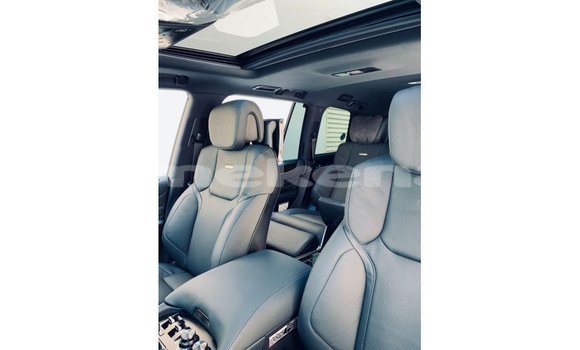 Buy Import Lexus LX Black Car in Import - Dubai in Aragatsotn Buy Import Lexus LX Black Car in Import - Dubai in Aragatsotn