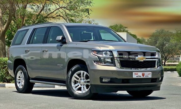Buy Import Chevrolet Tahoe Other Car in Import - Dubai in Aragatsotn
