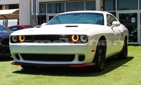 Buy Import Dodge Challenger White Car in Import - Dubai in Aragatsotn