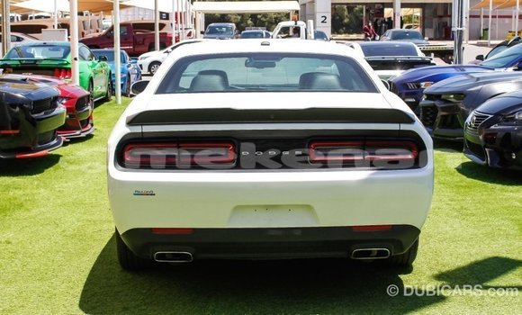 Buy Import Dodge Challenger White Car in Import - Dubai in Aragatsotn Buy Import Dodge Challenger White Car in Import - Dubai in Aragatsotn