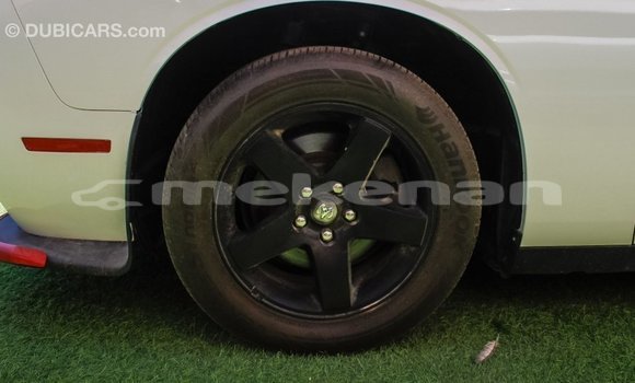 Buy Import Dodge Challenger White Car in Import - Dubai in Aragatsotn Buy Import Dodge Challenger White Car in Import - Dubai in Aragatsotn