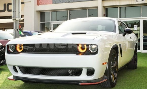 Buy Import Dodge Challenger White Car in Import - Dubai in Aragatsotn Buy Import Dodge Challenger White Car in Import - Dubai in Aragatsotn