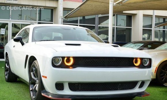 Buy Import Dodge Challenger White Car in Import - Dubai in Aragatsotn Buy Import Dodge Challenger White Car in Import - Dubai in Aragatsotn