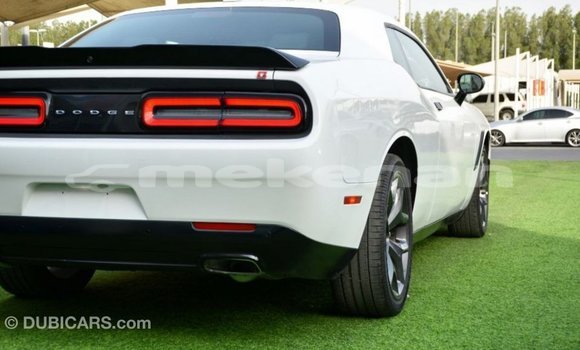 Buy Import Dodge Challenger White Car in Import - Dubai in Aragatsotn Buy Import Dodge Challenger White Car in Import - Dubai in Aragatsotn