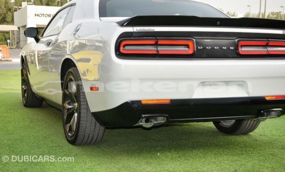 Buy Import Dodge Challenger White Car in Import - Dubai in Aragatsotn Buy Import Dodge Challenger White Car in Import - Dubai in Aragatsotn