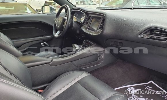 Buy Import Dodge Challenger White Car in Import - Dubai in Aragatsotn Buy Import Dodge Challenger White Car in Import - Dubai in Aragatsotn