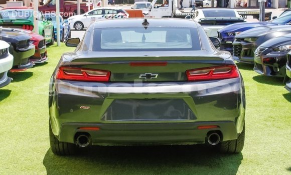 Buy Import Chevrolet Camaro Other Car in Import - Dubai in Aragatsotn Buy Import Chevrolet Camaro Other Car in Import - Dubai in Aragatsotn